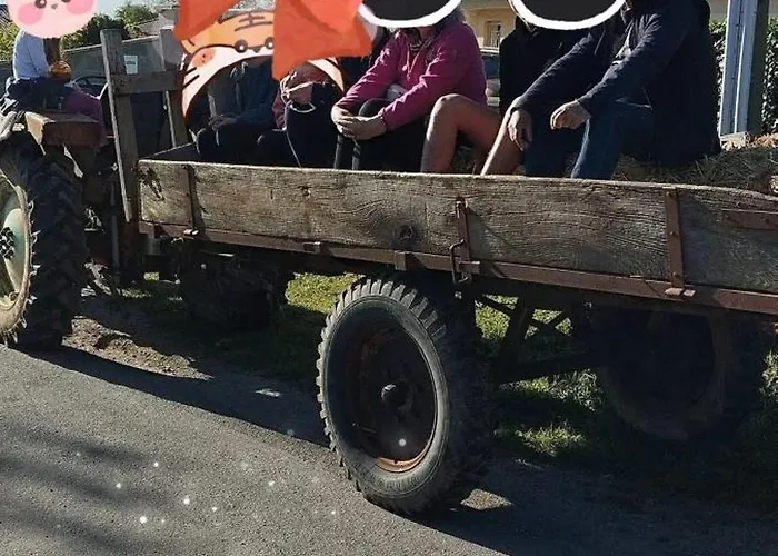 Vakantiehuis Maison Conviviale Avec Jardin A